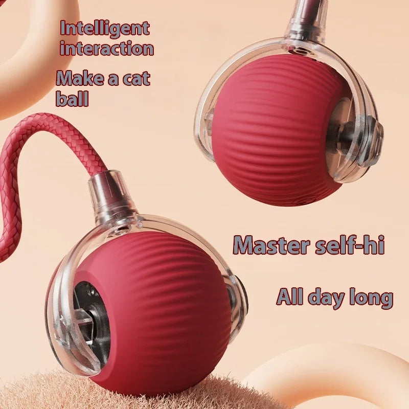 The Viral Automatic Smart Rolling Ball for Cats and Dogs!