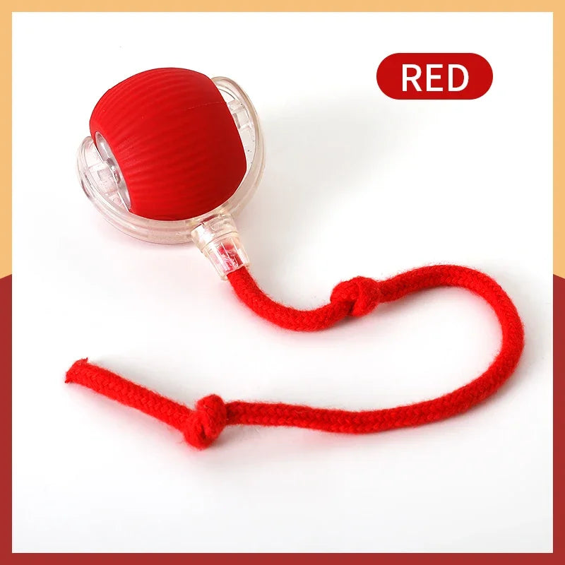 The Viral Automatic Smart Rolling Ball for Cats and Dogs!