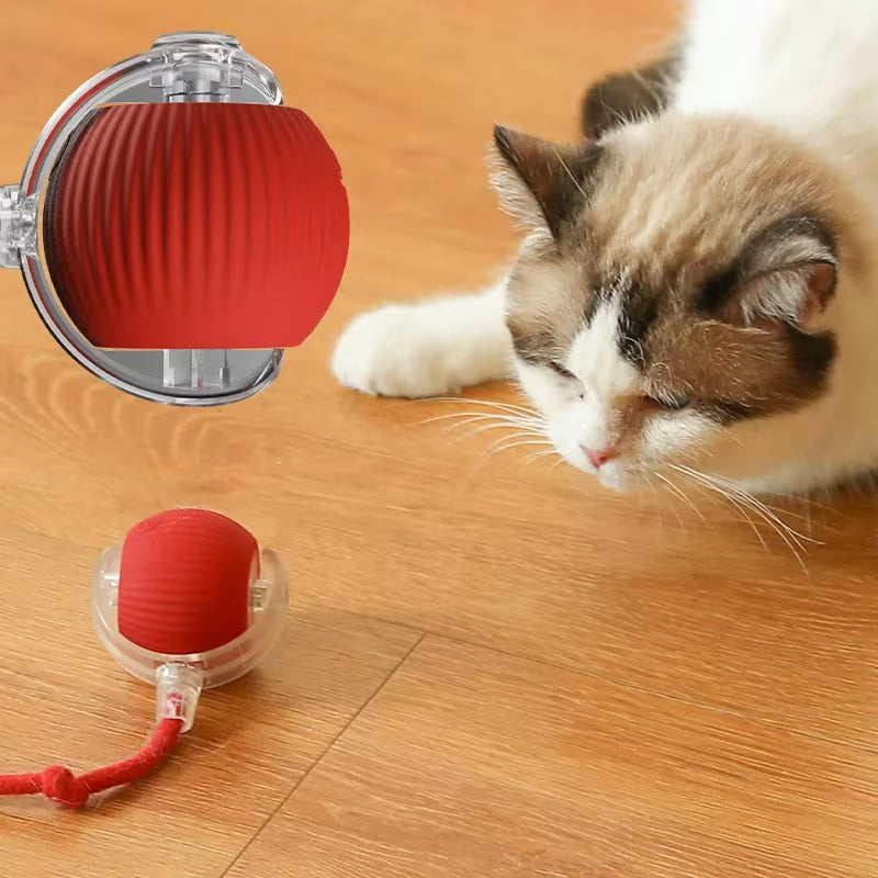 The Viral Automatic Smart Rolling Ball for Cats and Dogs!