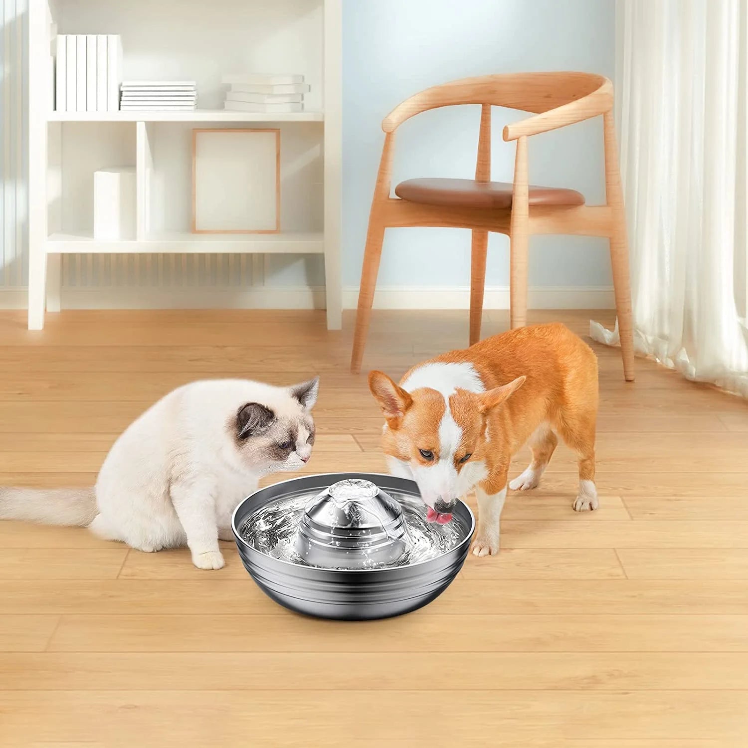 Automatic Water Dispenser , 67Oz/2L with 5 Filters Included for Dogs, Cats, Small Animals