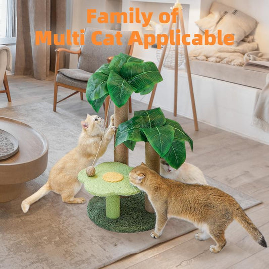 Cat Scratching Post with Flower Bed Cute Cat Scratcher with Sisal Dangling Ball Small Cat Tree for Indoor Cats Perch Cat Tower for Large Adult Cats and Kittens