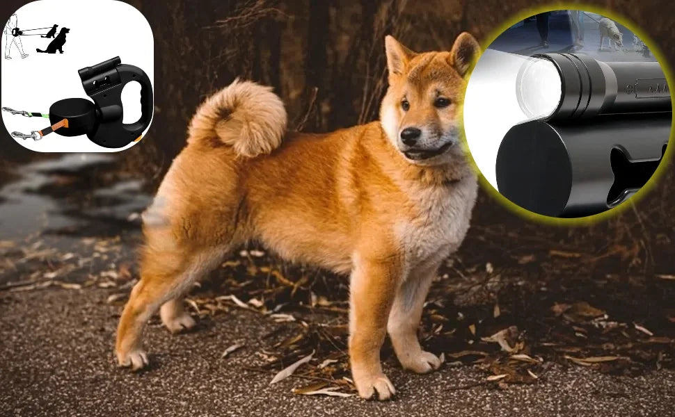 Double Ended Leash with Tangle-Free Swivel, LED Flashlight, and Litter Bag Holder for Small & Large Dog