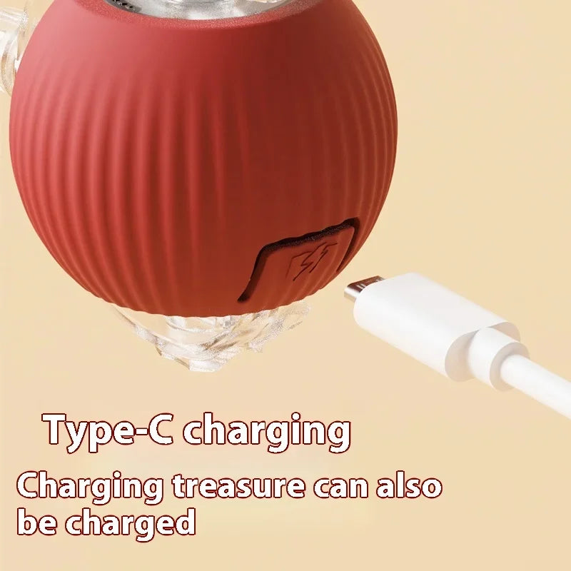 The Viral Automatic Smart Rolling Ball for Cats and Dogs!