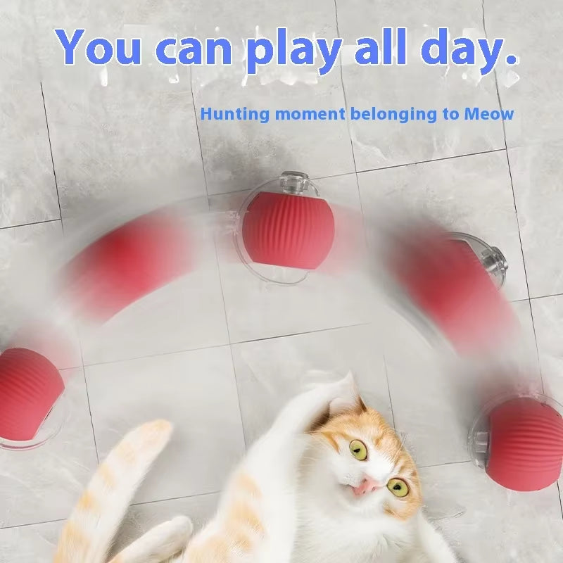 The Viral Automatic Smart Rolling Ball for Cats and Dogs!