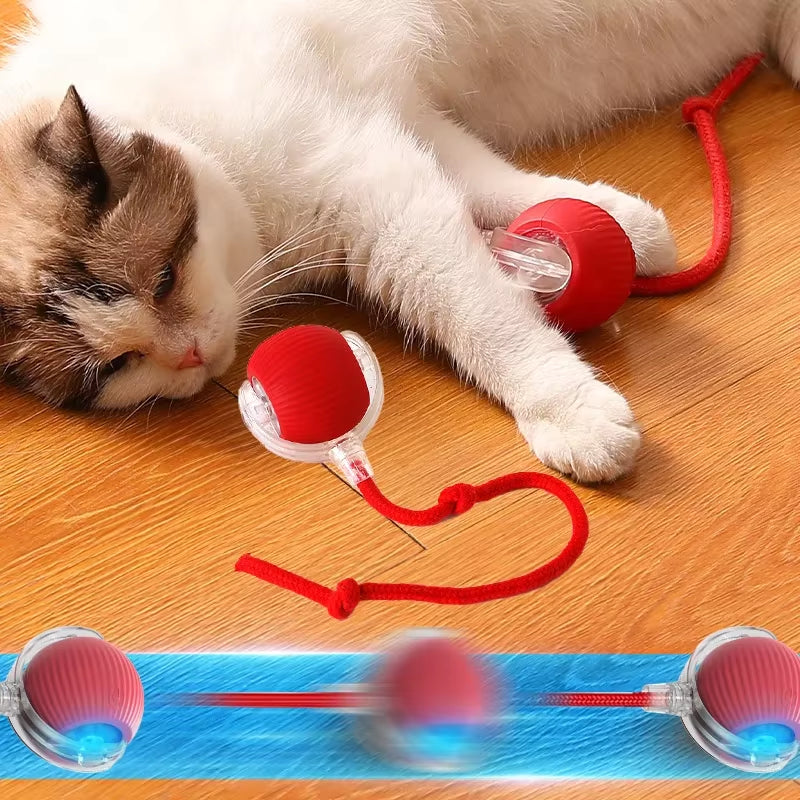 The Viral Automatic Smart Rolling Ball for Cats and Dogs!