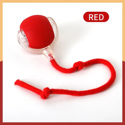 The Viral Automatic Smart Rolling Ball for Cats and Dogs!