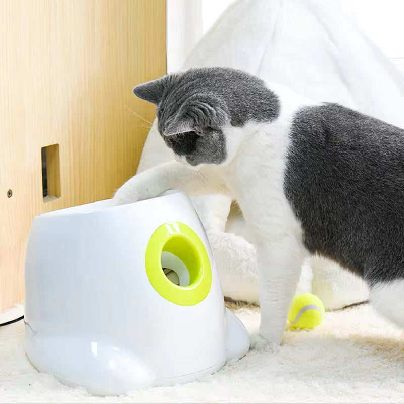 Automatic Tennis Ball Launcher Dog Toy!