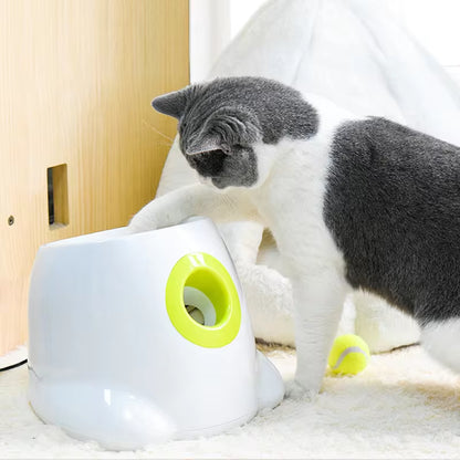 Automatic Tennis Ball Launcher Dog Toy!