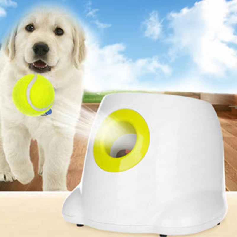 Automatic Tennis Ball Launcher Dog Toy!