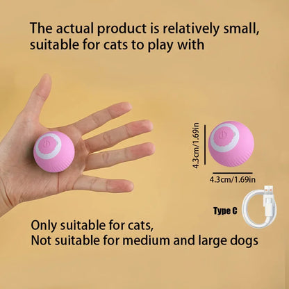The Viral Automatic Smart Rolling Ball for Cats and Dogs!