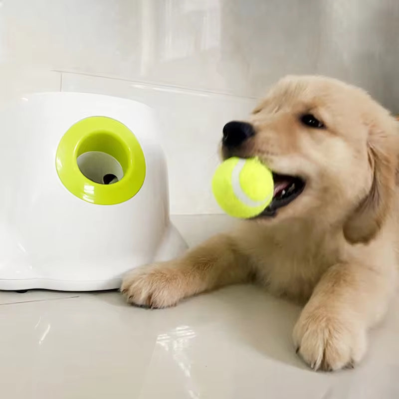 Automatic Tennis Ball Launcher Dog Toy!